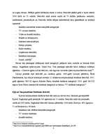 Referāts 'Starptautiskie reklāmas konkursi un to attīstība Latvijā', 8.