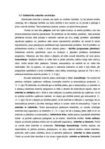 Referāts 'Rīgas Jūgendstila muzeja pasākuma organizēšana', 6.