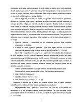 Referāts 'Rīgas Jūgendstila muzeja pasākuma organizēšana', 8.