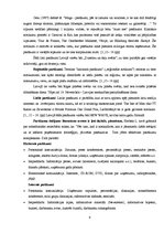 Referāts 'Rīgas Jūgendstila muzeja pasākuma organizēšana', 9.