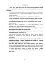 Referāts 'Rīgas Jūgendstila muzeja pasākuma organizēšana', 25.