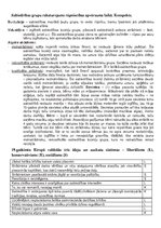 Konspekts '19.gadsimta Eiropa - rūpniecības apvērsums', 1.