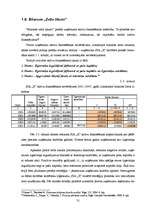 Referāts 'Uzņēmuma "X" finanšu analīze', 31.