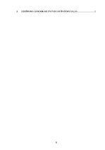 Biznesa plāns 'Biznesa plāns', 6.