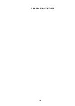 Biznesa plāns 'Biznesa plāns', 29.