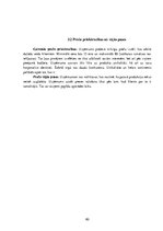 Biznesa plāns 'Biznesa plāns', 80.