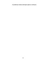 Biznesa plāns 'Biznesa plāns', 88.