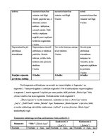 Konspekts '"Ādažu čipsi". Mārketinga plāns', 4.