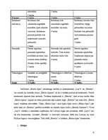 Konspekts '"Ādažu čipsi". Mārketinga plāns', 6.