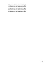 Diplomdarbs 'Finanšu analīze uzņēmumā "X"', 57.