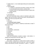 Referāts 'Bērna psiholoģiskās un fiziskās attīstības mijiedarbība mākslas vingrošanā', 13.