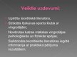 Referāts 'Bērna psiholoģiskās un fiziskās attīstības mijiedarbība mākslas vingrošanā', 44.