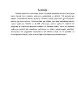 Referāts 'Sabiedrisko attiecību nozīme uzņēmuma attīstībā', 1.