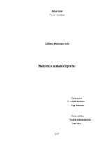 Referāts 'Modernās mākslas izpratne', 1.