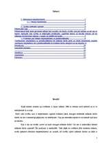 Referāts 'Modernās mākslas izpratne', 2.