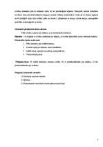 Referāts 'Modernās mākslas izpratne', 3.