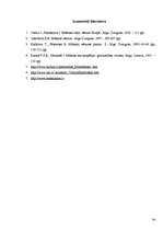 Referāts 'Modernās mākslas izpratne', 30.