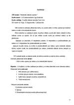 Referāts 'Modernās mākslas izpratne', 31.