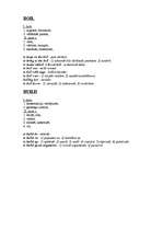 Konspekts 'Angļu valodas frazeoloģija', 3.