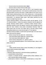 Prakses atskaite 'Informācijas sistēmu vide Cēsu pilsētas domē', 11.