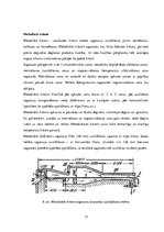 Konspekts 'Rūpniecības krāšņu galvenie veidi un principiālās shēmas; krāšņu pielietojums', 13.