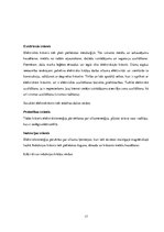 Konspekts 'Rūpniecības krāšņu galvenie veidi un principiālās shēmas; krāšņu pielietojums', 17.