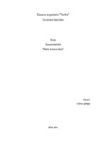 Eseja 'Biznesa ideja', 1.