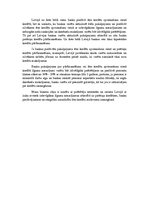 Eseja 'Biznesa ideja', 3.