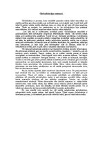 Eseja 'Globalizācijas mīnusi', 1.