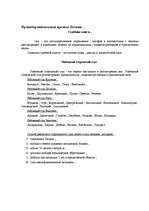 Prezentācija 'Правоохранительные органы в Латвии и России', 3.