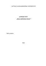 Referāts 'Saldūdens zivju ēdieni', 1.