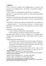 Konspekts 'Komerctiesības dikusija', 1.