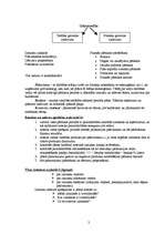 Konspekts 'Pašizmaksas kalkulācija', 2.