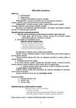 Konspekts 'Pašizmaksas kalkulācija', 7.