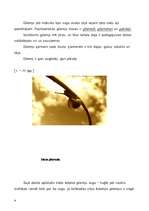 Referāts 'Ēdamais gliemis ', 4.