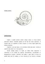 Referāts 'Ēdamais gliemis ', 8.