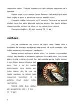 Referāts 'Ēdamais gliemis ', 9.