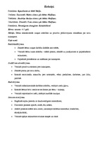 Konspekts 'Nodarbības pirmsskolas vecuma bērniem. Kukaiņi', 1.