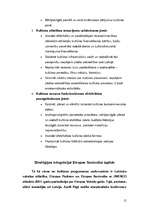 Referāts 'Eiropas Savienība un Latvijas kultūra', 15.