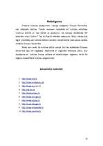 Referāts 'Eiropas Savienība un Latvijas kultūra', 22.