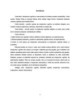 Referāts 'Starpkultūru izglītība', 3.
