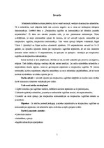 Referāts 'Starpkultūru izglītība', 5.