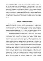 Referāts 'Starpkultūru komunikācija: Subkultūras. Kontrkultūra. Andergraunda kultūra', 7.