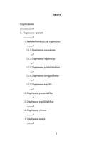 Biznesa plāns 'IK "Rotiņa"', 2.