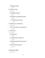 Biznesa plāns 'IK "Rotiņa"', 3.