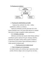 Biznesa plāns 'IK "Rotiņa"', 9.