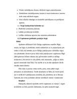 Biznesa plāns 'IK "Rotiņa"', 11.