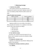 Biznesa plāns 'IK "Rotiņa"', 13.