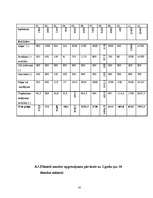 Biznesa plāns 'IK "Rotiņa"', 18.