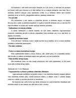 Referāts 'Uzņēmējdarbības formas izvēle', 4.